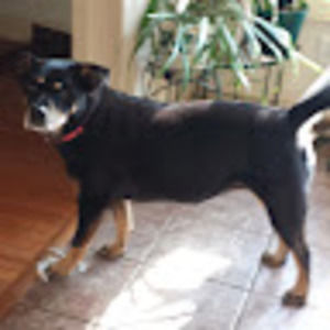 Meet your Posher, Leigh anne